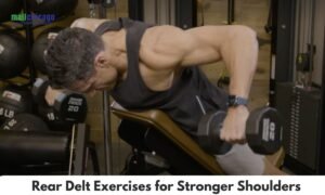 Rear Delt Exercises